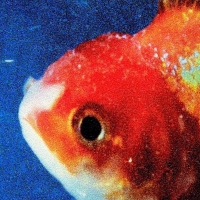 Big Fish Theory - Vince Staples