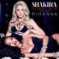 Can't Remember To Forget You - Shakira Ft. Rihanna