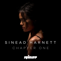 Sinead Harnett - Don't Waste My Time