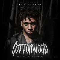 NLE Choppa - Shotta Flow (Remix) Ft. Blueface