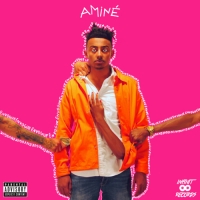 Aminé - Plastic Life