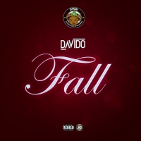 Davido - Fall