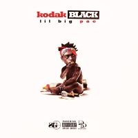 Kodak Black - Blood Sweat Tears Revenge