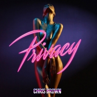 Chris Brown - Privacy