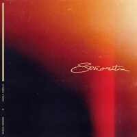 Camila Cabello, Shawn Mendes - Señorita