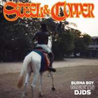 Burna Boy, DJDS - Darko