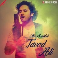 The Soulful - Javed Ali