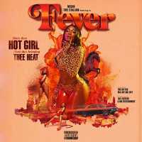 Big Drank Lyrics - Megan Thee Stallion